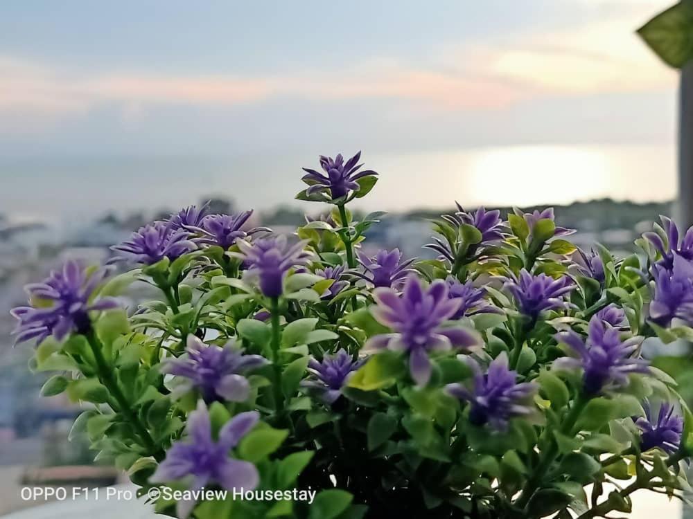 Sekinchan Seaview Homestay L143 High View Zewnętrze zdjęcie